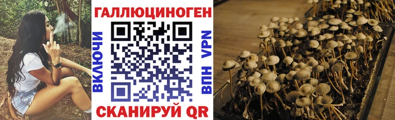 МЕГА ONION  Баймак  Псилоцибиновые грибы мицелий 